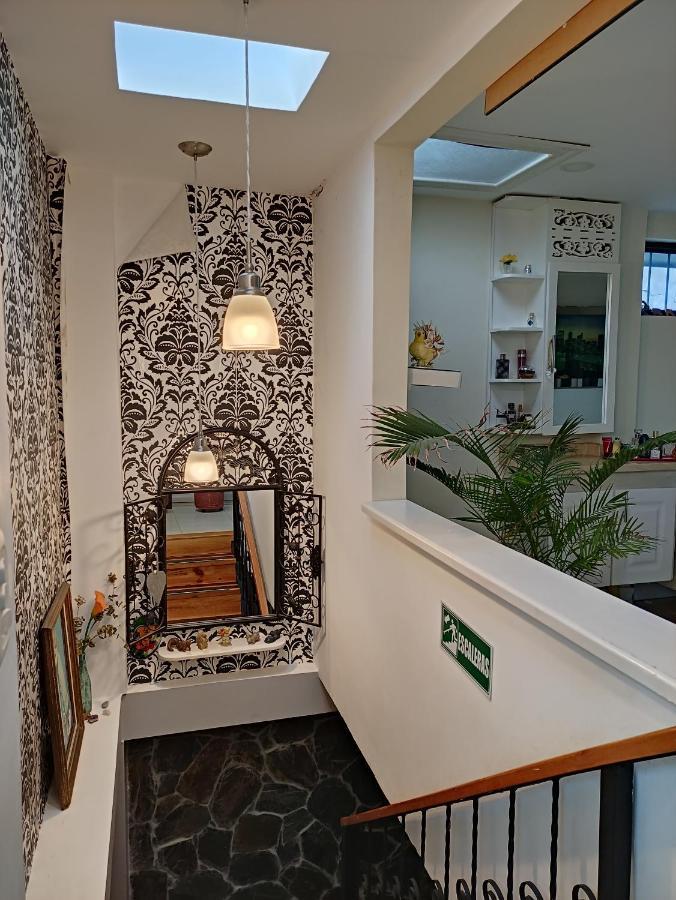 Los Andes Hostal Filandia Eksteriør billede